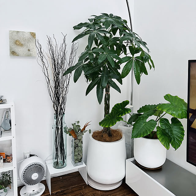 hanahana1444さんの部屋