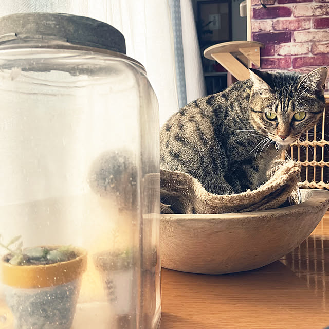 Mさんの実例写真