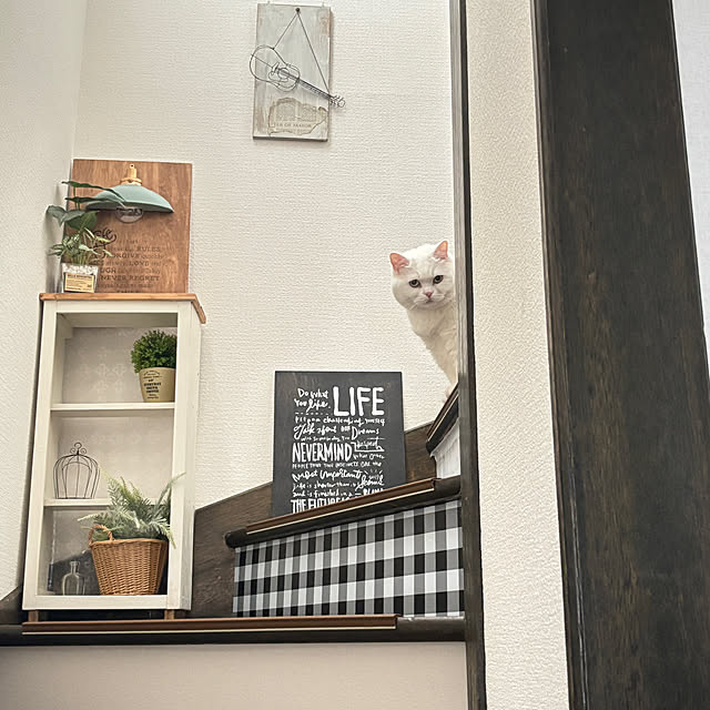 kotoriさんの実例写真