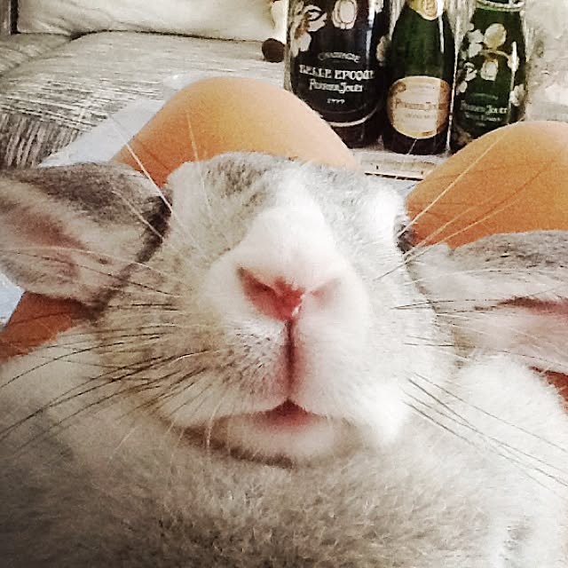 MARIさんの実例写真