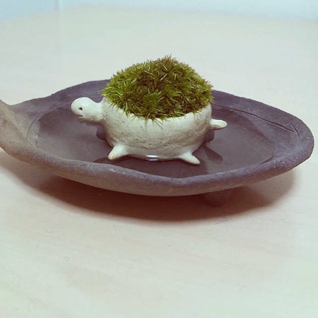 mekeme_56さんの実例写真