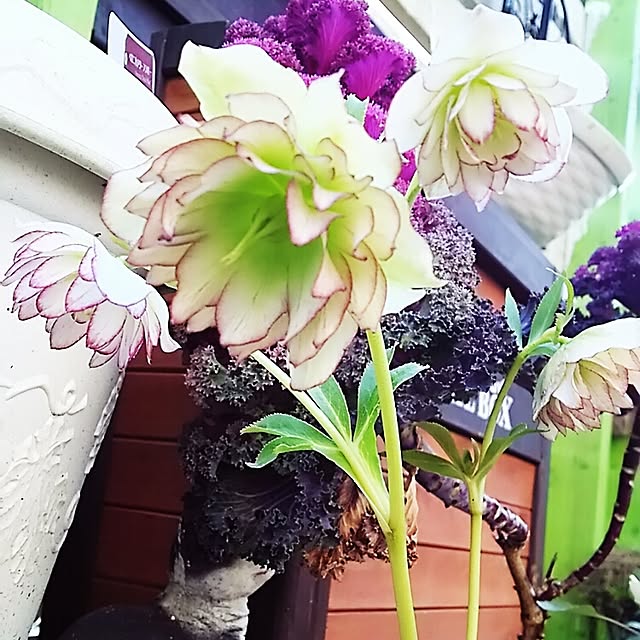 catriene0123さんの実例写真