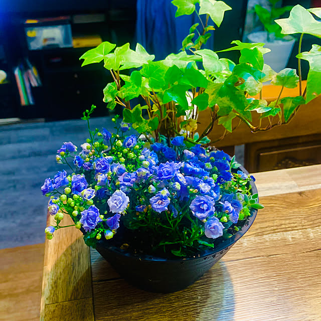 tututu0204さんの実例写真