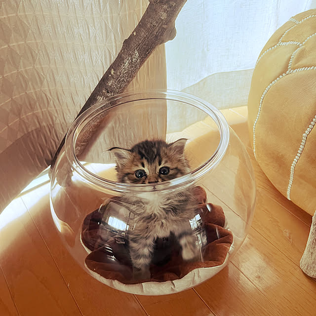 Mさんの部屋