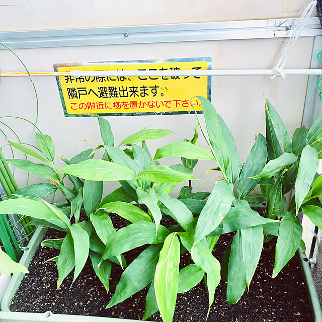 hanachanさんの部屋