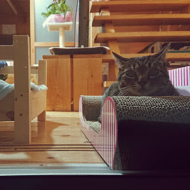 ayabooohさんの実例写真