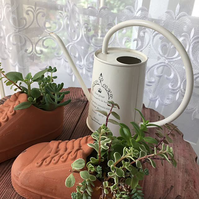 棚/多肉植物のインテリア実例 - 2018-07-01 05:16:09