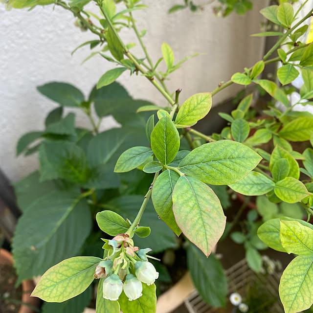mamiさんの部屋