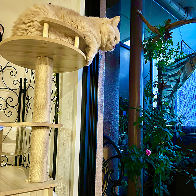 naokoさんの部屋