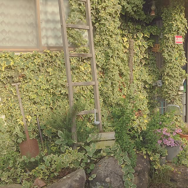 TOROさんの実例写真