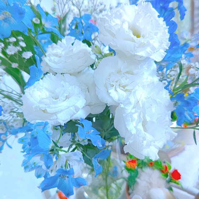 mariaさんの部屋