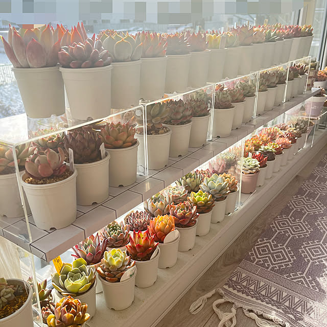 unichanさんの部屋