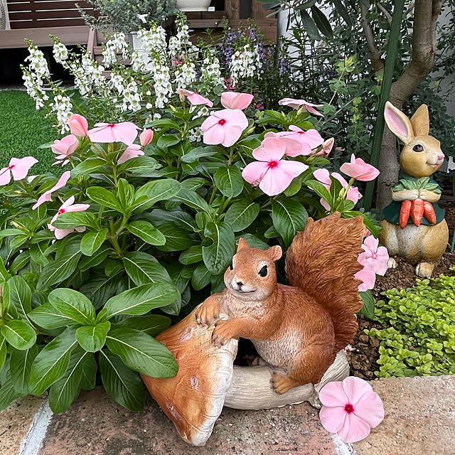 dolceさんの実例写真
