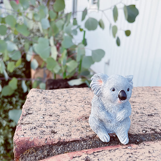 maymamさんの実例写真