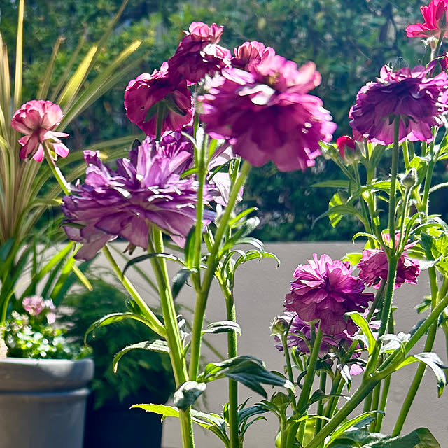 DAYONEさんの部屋