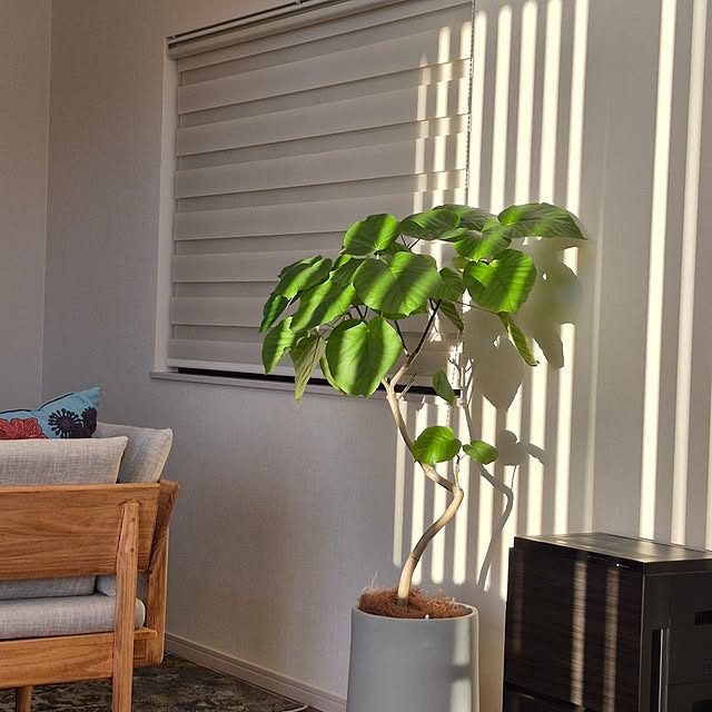 hiyokobiyoriさんの実例写真