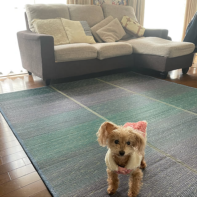 RUFFYさんの実例写真