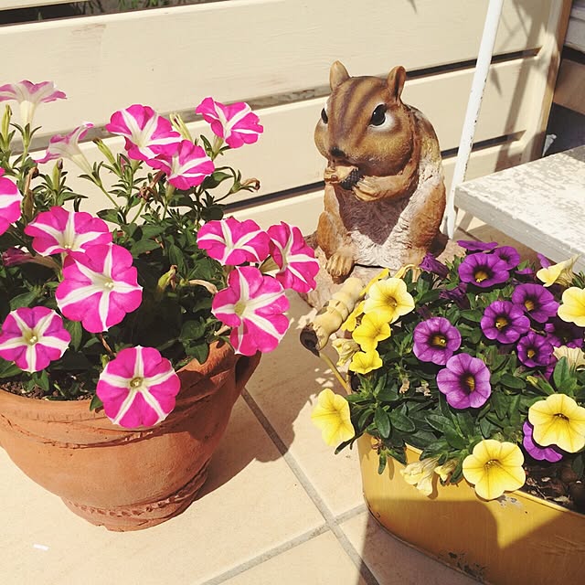 HARUNAさんの実例写真