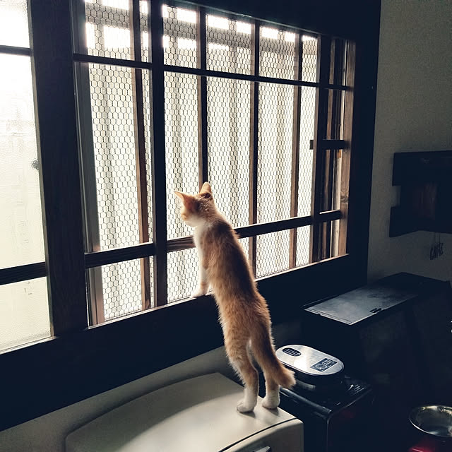 HANIWaさんの実例写真