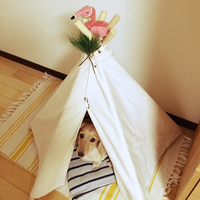 rakudakunさんの実例写真