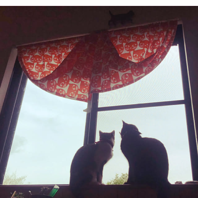 jijiさんの実例写真