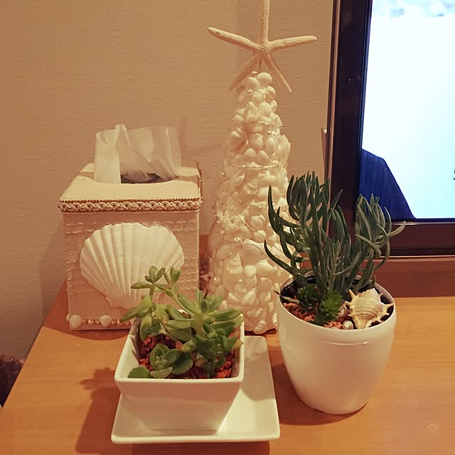 Mayumiさんの実例写真