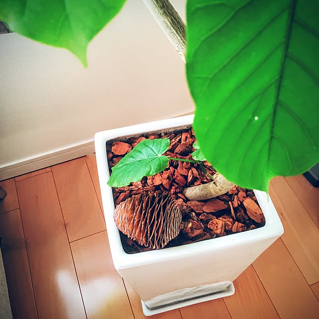 ffgreenさんの実例写真