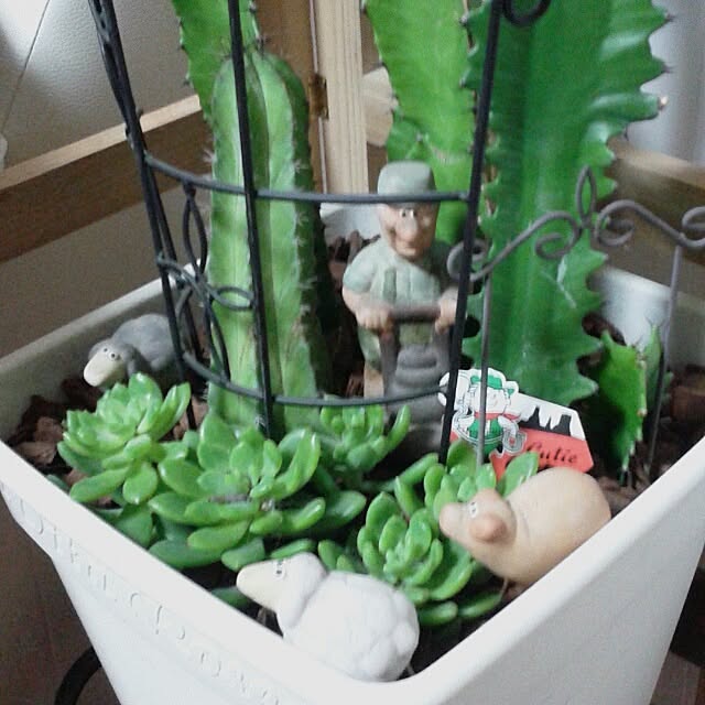 383junkさんの実例写真