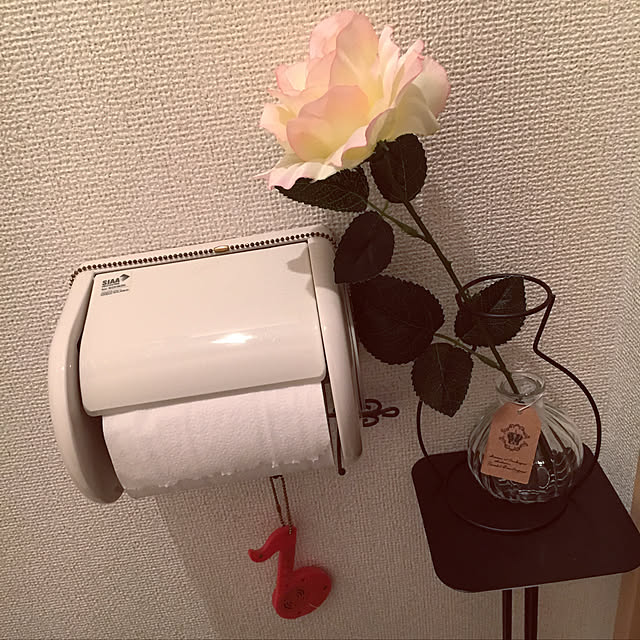 k_dinoさんの実例写真
