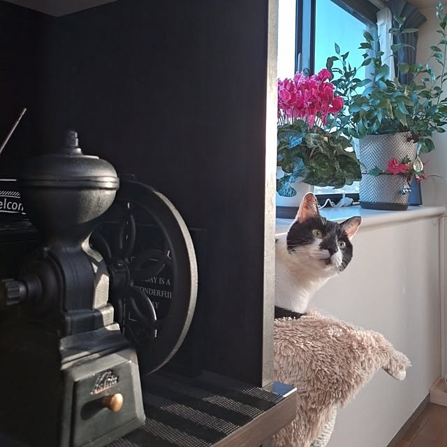 NOAHさんの部屋