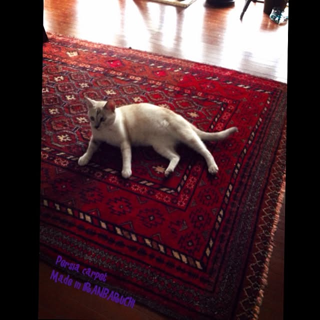 tamiさんの実例写真