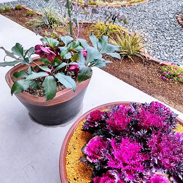 NSDさんの実例写真