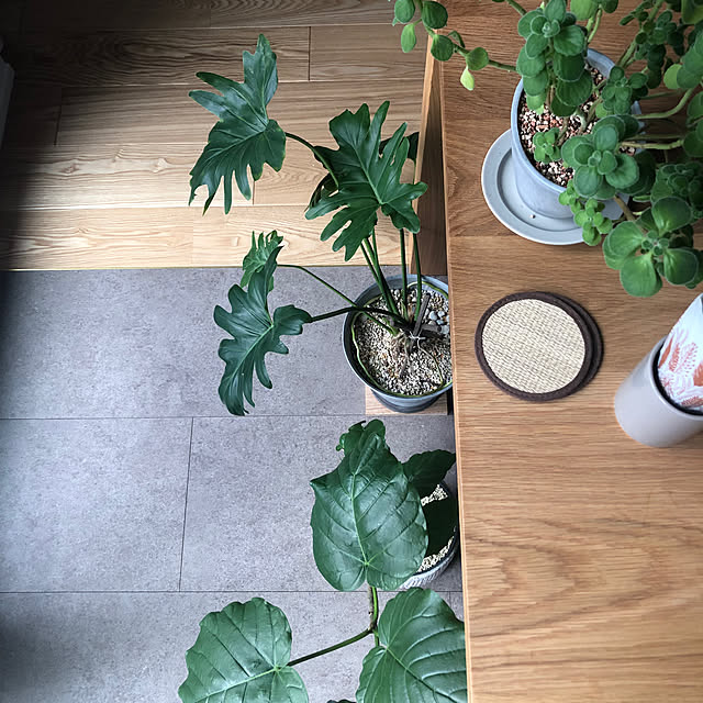 Rororiさんの部屋