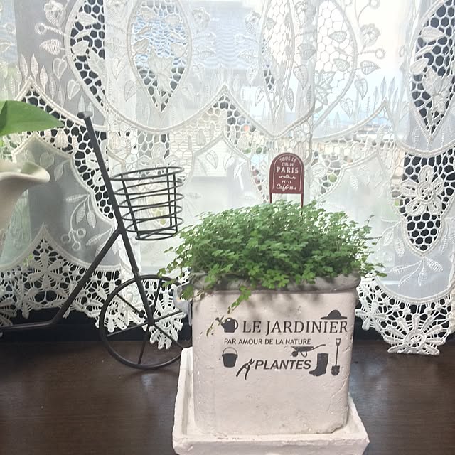 amiさんの実例写真