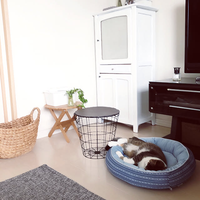 nekomiさんの実例写真