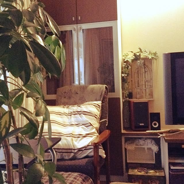 tmsyspeceさんの実例写真