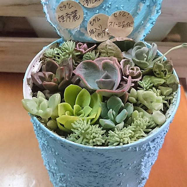 kotorinさんの実例写真