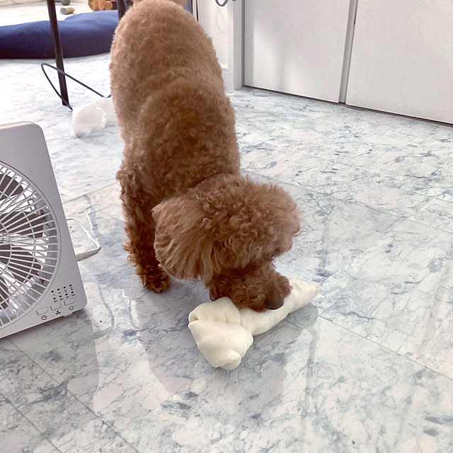 MOMOMAMAさんの部屋