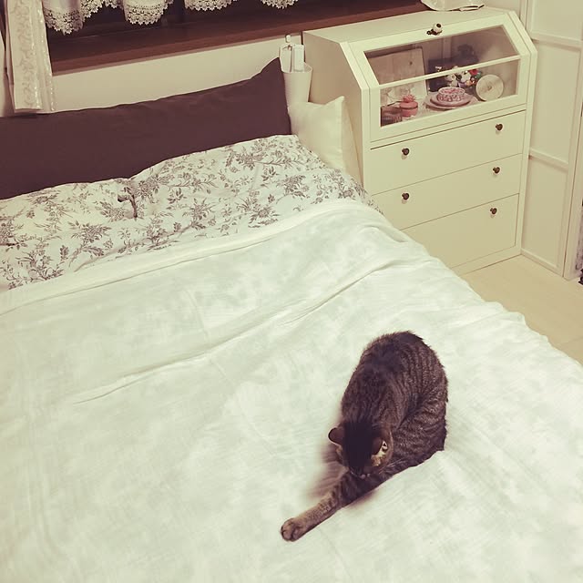 myukkorinoさんの実例写真
