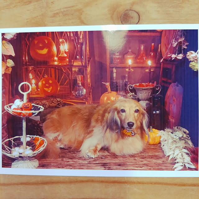 rikachakoさんの実例写真