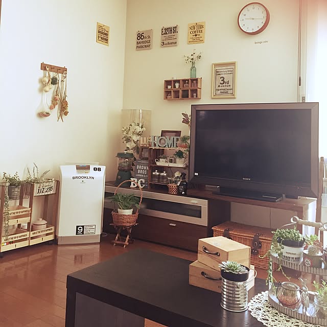 部屋全体/多肉植物/観葉植物/100均/セリア...などのインテリア実例 - 2017-06-01 09:14:52