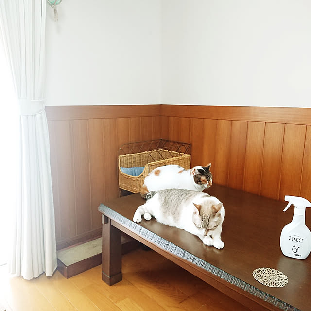 nachiさんの実例写真