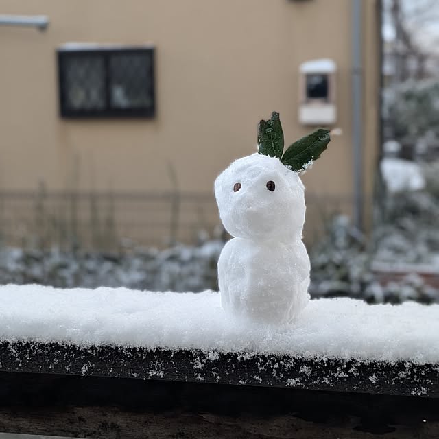 Maroさんの実例写真