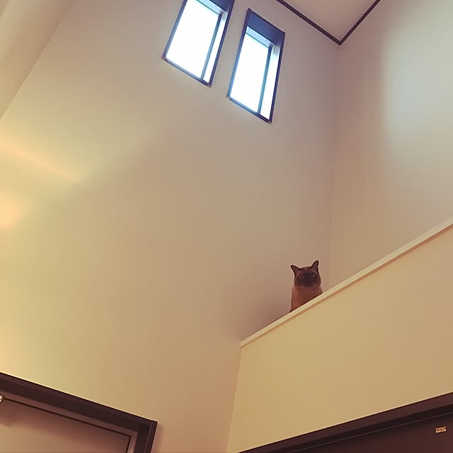 shienaさんの実例写真