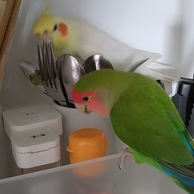 toratanさんの部屋
