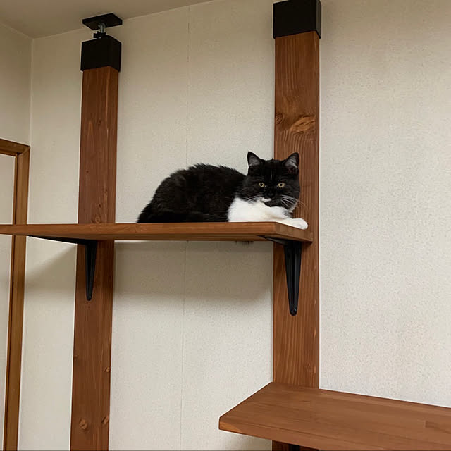 ELLEさんの実例写真
