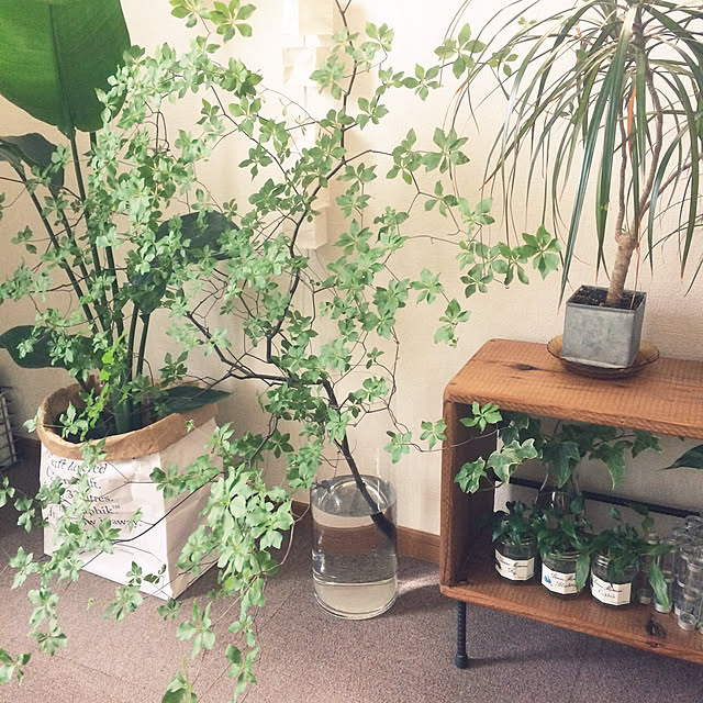 oliveandcheeseさんの実例写真