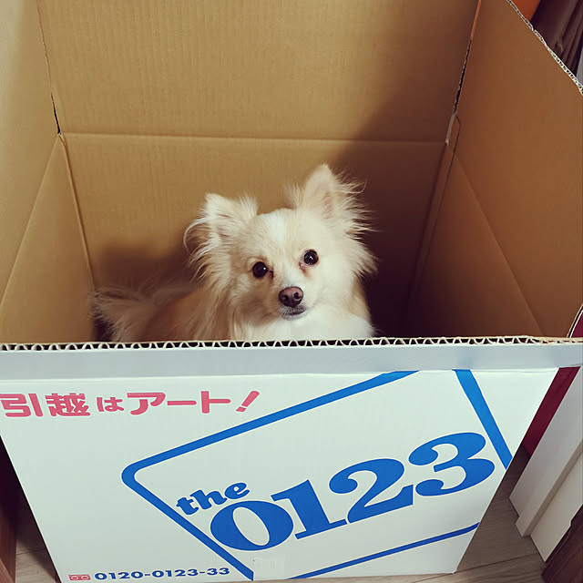 9miyu3さんの実例写真