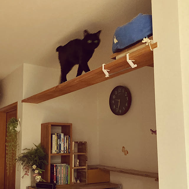 chakuron.iさんの実例写真