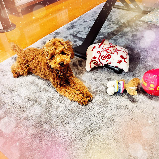 mimi828さんの実例写真